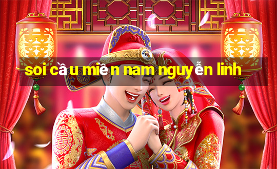 soi cầu miền nam nguyễn linh