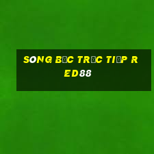 sòng bạc trực tiếp red88