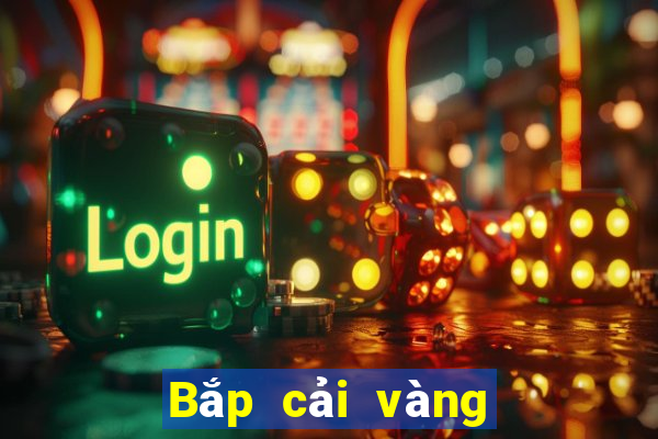 Bắp cải vàng đăng ký nhận