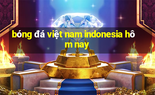 bóng đá việt nam indonesia hôm nay