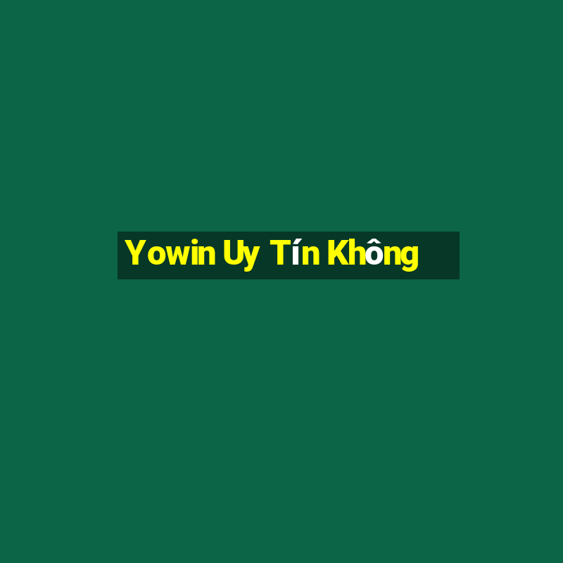 Yowin Uy Tín Không