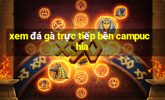 xem đá gà trực tiếp bên campuchia