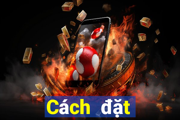 Cách đặt cược XSKT ngày mai