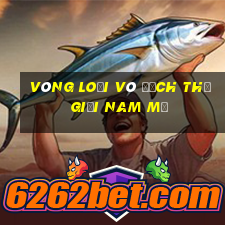 vòng loại vô địch thế giới nam mỹ