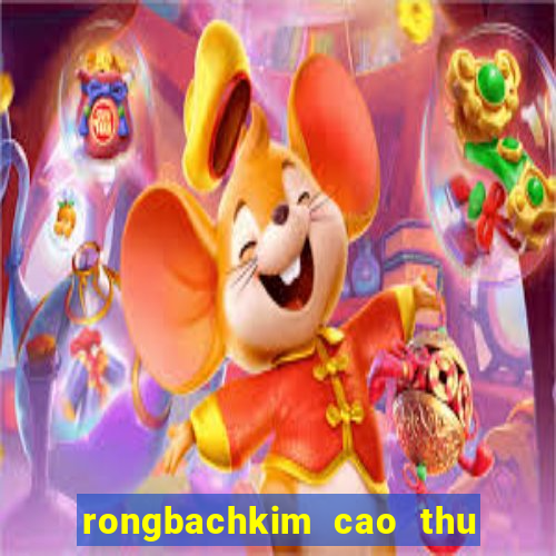 rongbachkim cao thu soi cau