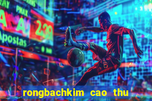 rongbachkim cao thu soi cau