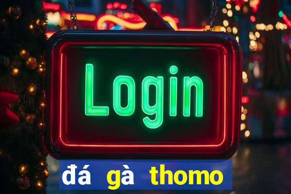 đá gà thomo hôm nay trận 33