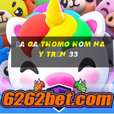 đá gà thomo hôm nay trận 33