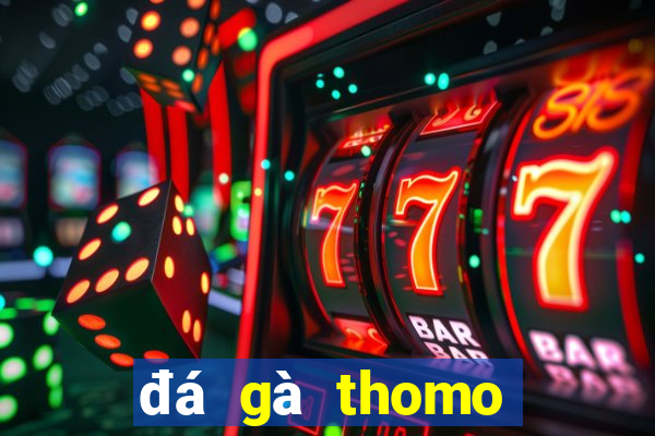 đá gà thomo hôm nay trận 33