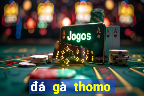 đá gà thomo hôm nay trận 33