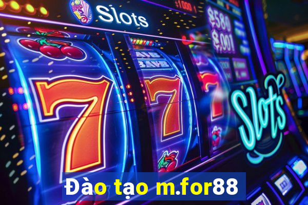 Đào tạo m.for88