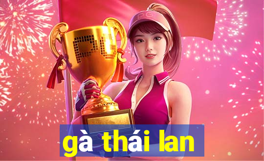 gà thái lan