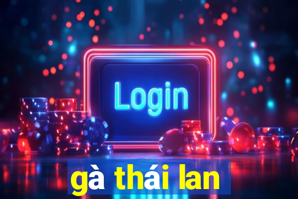 gà thái lan