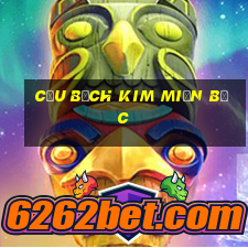 cầu bạch kim miền bắc