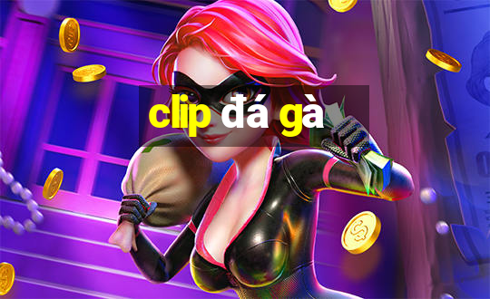 clip đá gà