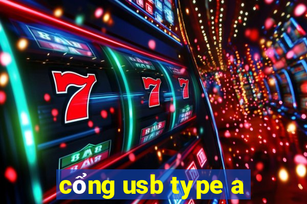 cổng usb type a