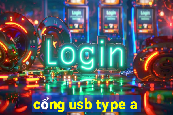 cổng usb type a