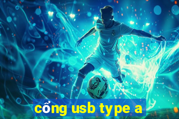 cổng usb type a