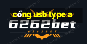 cổng usb type a