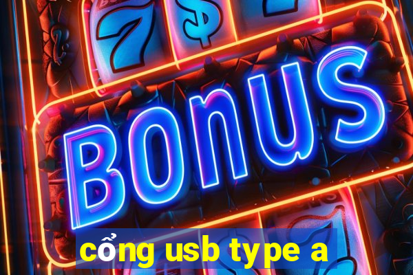 cổng usb type a