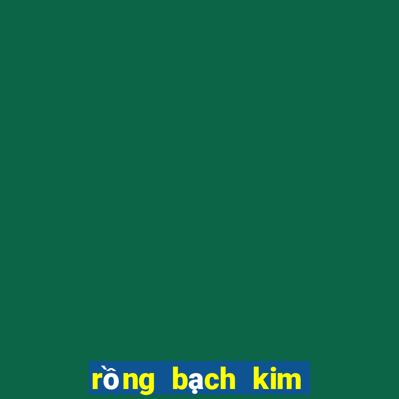 rồng bạch kim là gì