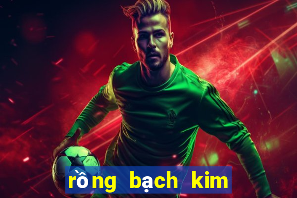 rồng bạch kim là gì