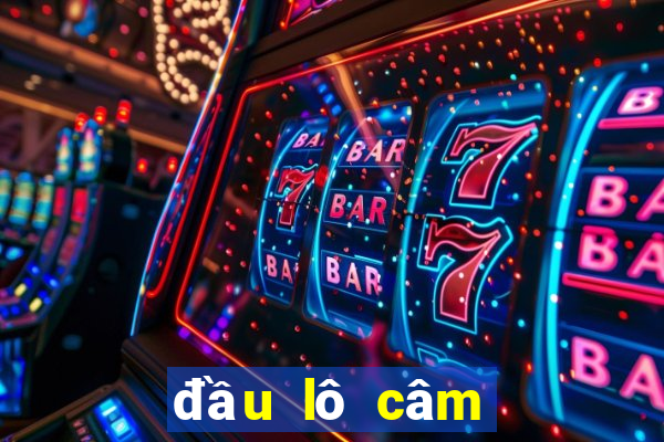 đầu lô câm đánh con gì