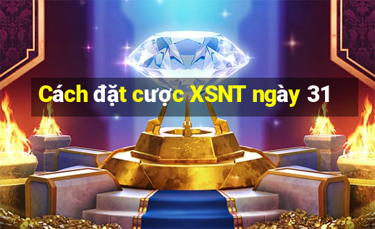 Cách đặt cược XSNT ngày 31