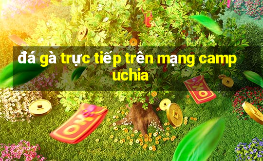 đá gà trực tiếp trên mạng campuchia