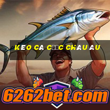 kèo cá cược châu âu