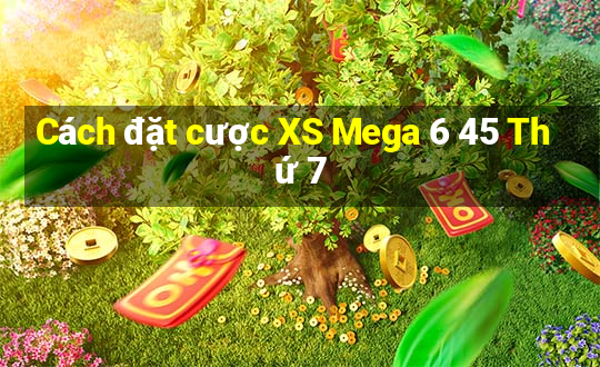 Cách đặt cược XS Mega 6 45 Thứ 7