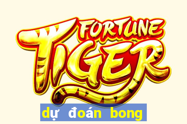 dự đoán bong da hom nay