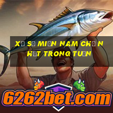 xổ số miền nam chủ nhật trong tuần