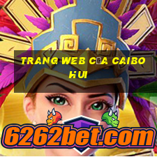 Trang web của Caibohui