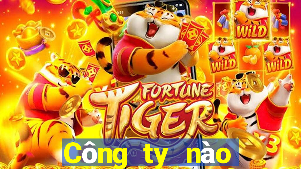 Công ty nào của Beeway