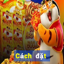 Cách đặt cược XSVT ngày 22