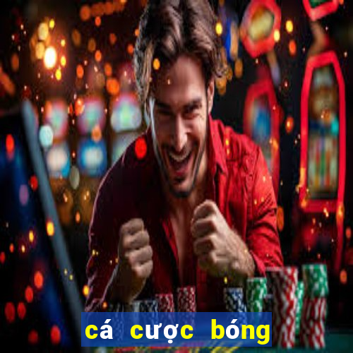 cá cược bóng đá online