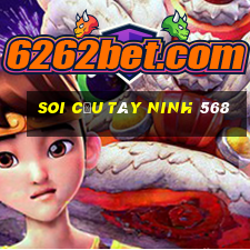 soi cầu tây ninh 568