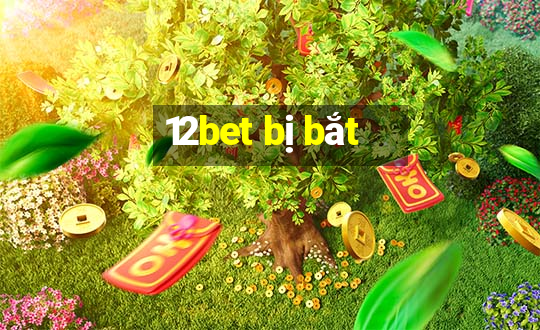 12bet bị bắt