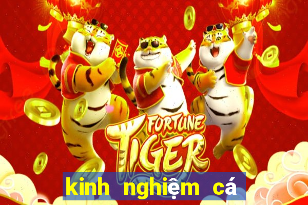 kinh nghiem ca do bong da