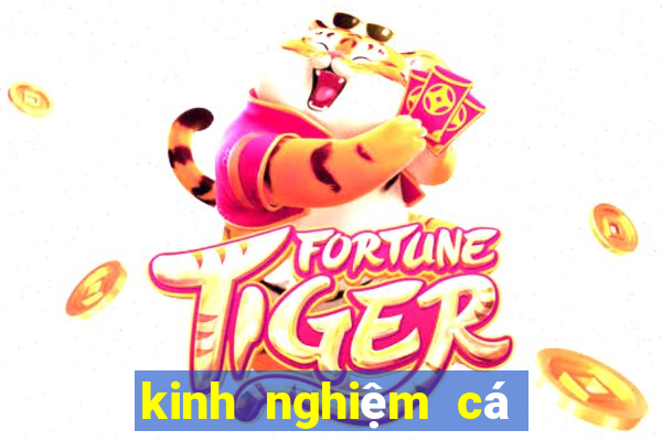 kinh nghiem ca do bong da