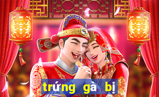 trứng gà bị đông đá có ăn được không