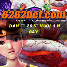 dàn đề 20 số nuôi 3 ngày