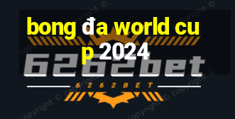 bong đa world cup 2024