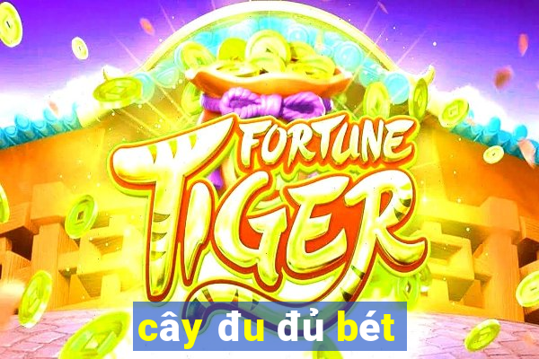 cây đu đủ bét