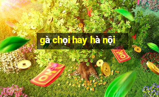 gà chọi hay hà nội