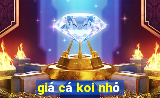 giá cá koi nhỏ