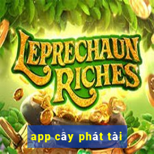 app cây phát tài