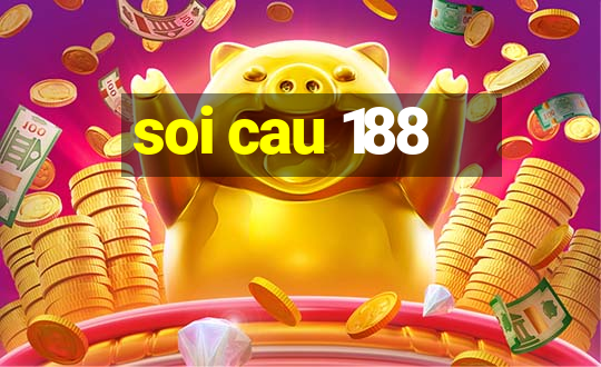 soi cau 188