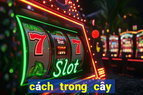 cách trong cây đuôi chuột